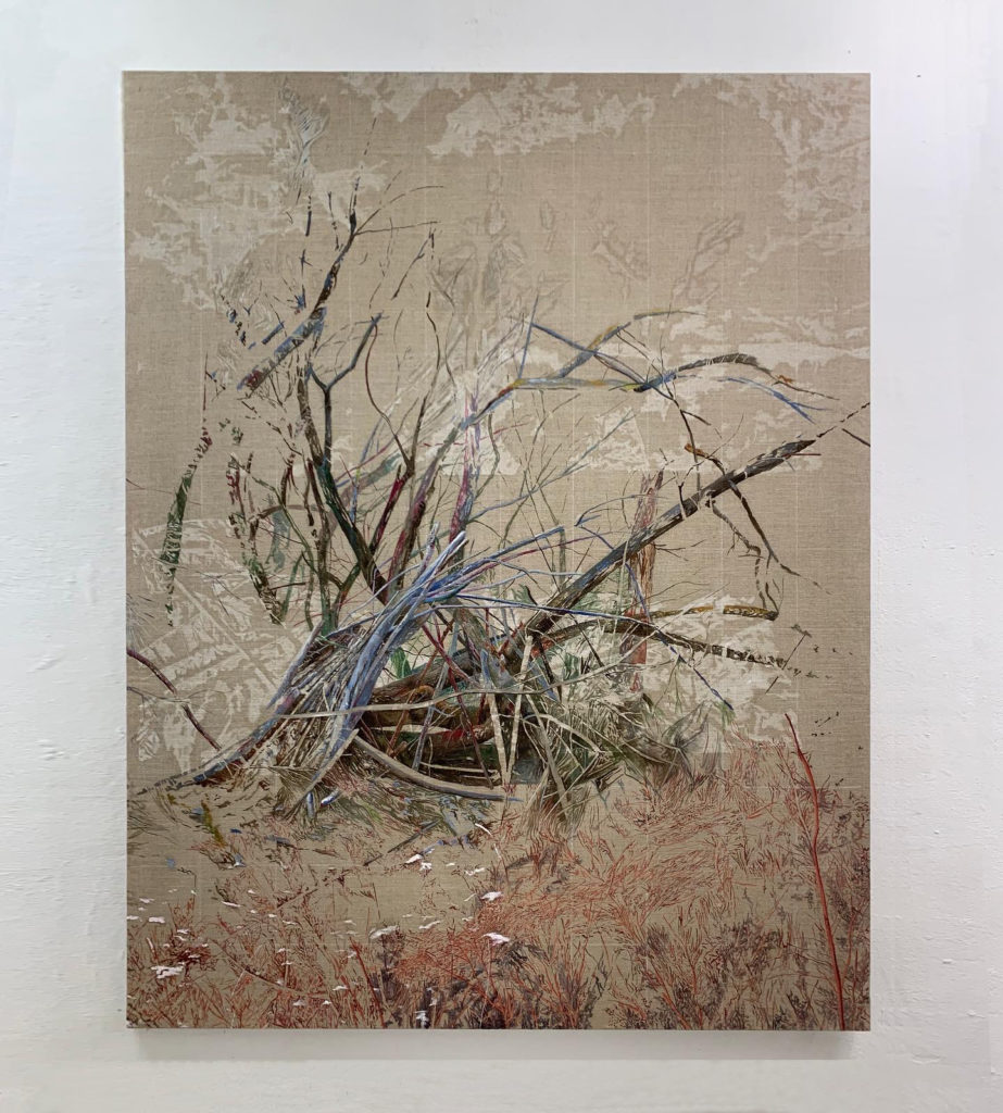 carlos romano silveira artista español